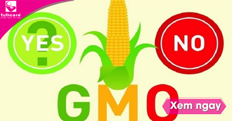 Cách nhận biết sản phẩm biến đổi gen GMO