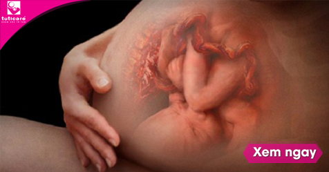 [Mẹ bầu cần biết] Các giai đoạn phát triển xương của thai nhi