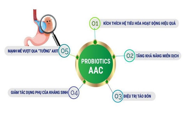 co-che-hoat-dong-cua-probiotics