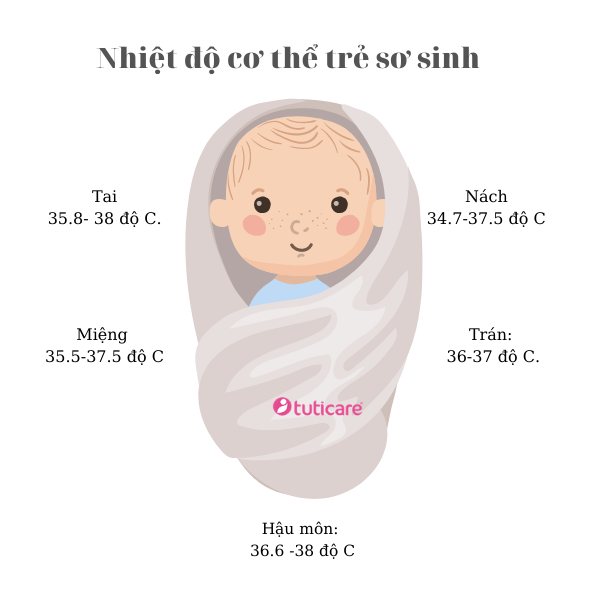 Cách kiểm tra nhiệt độ cơ thể trẻ sơ sinh chính xác nhất.
