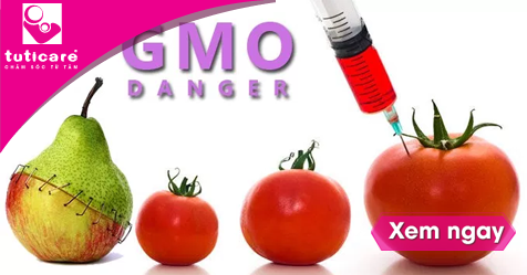 Giải pháp loại bỏ độc tố từ thực phẩm GMO khỏi cơ thể
