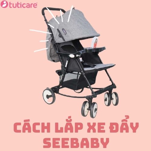 cach-lap-xe-day-seebaby-de-dang