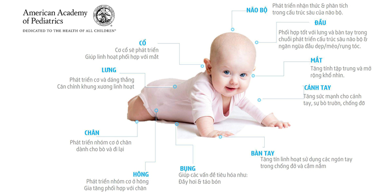 Bài tập nằm úp giúp phát triển 10 bộ phận cơ thể trẻ sơ sinh theo hướng dẫn của Viện Hàn Lâm Nhi Khoa Mỹ