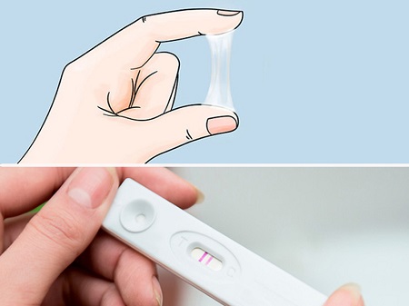 Nhận biết mang thai sớm qua khí hư báo thai