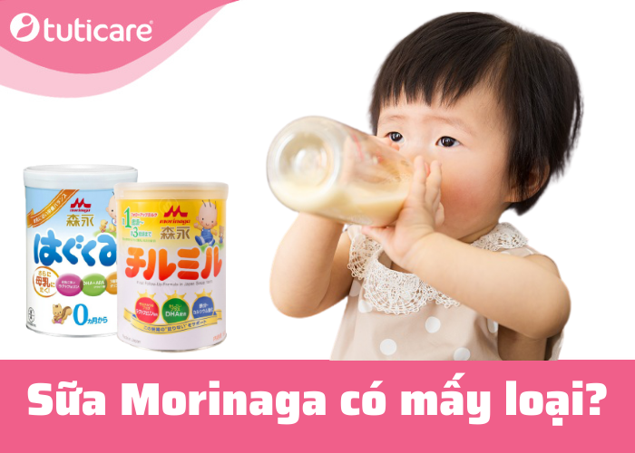 Sữa Morinaga có mấy loại?